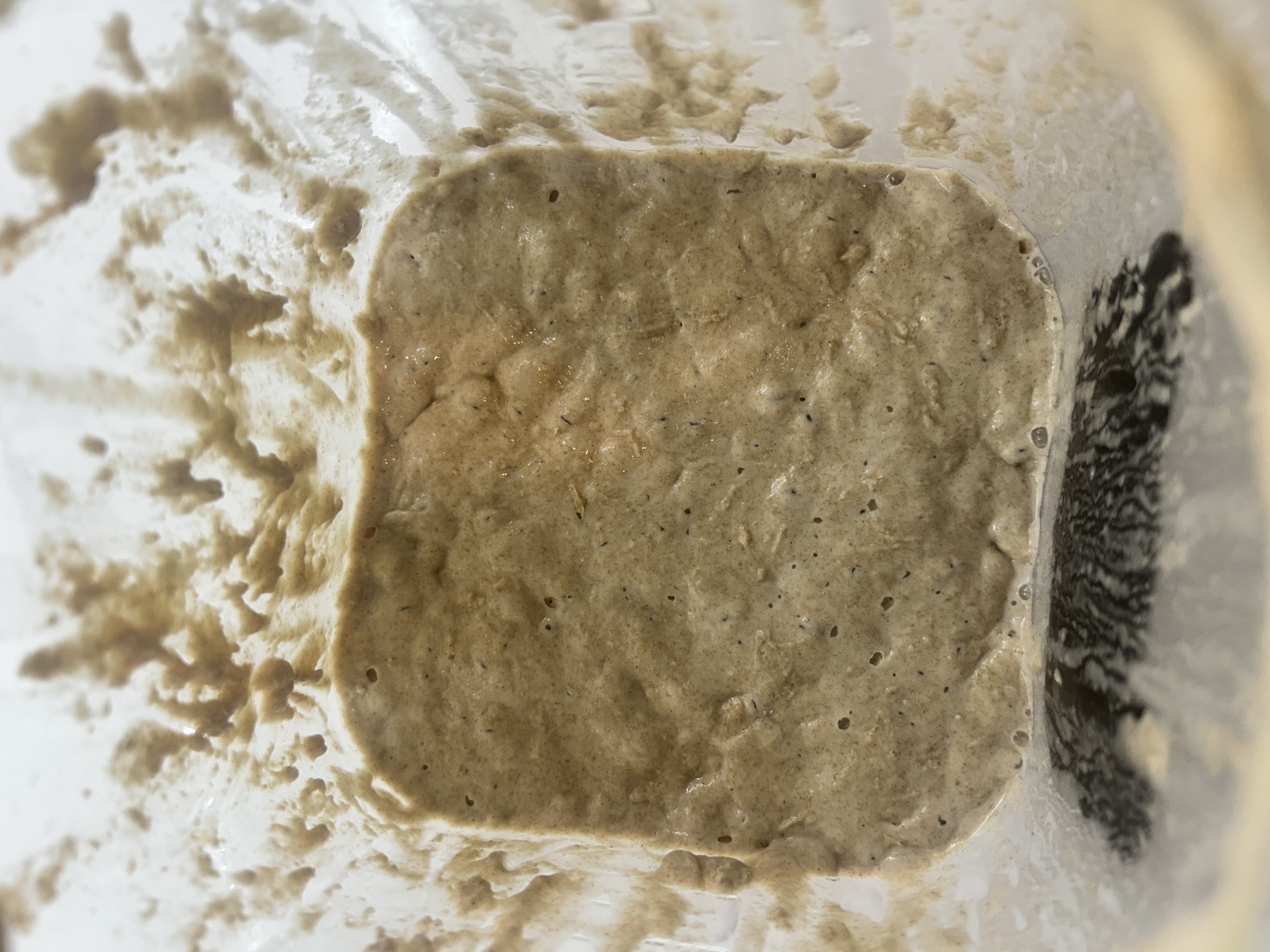 Before feeding Oct 27, 2025