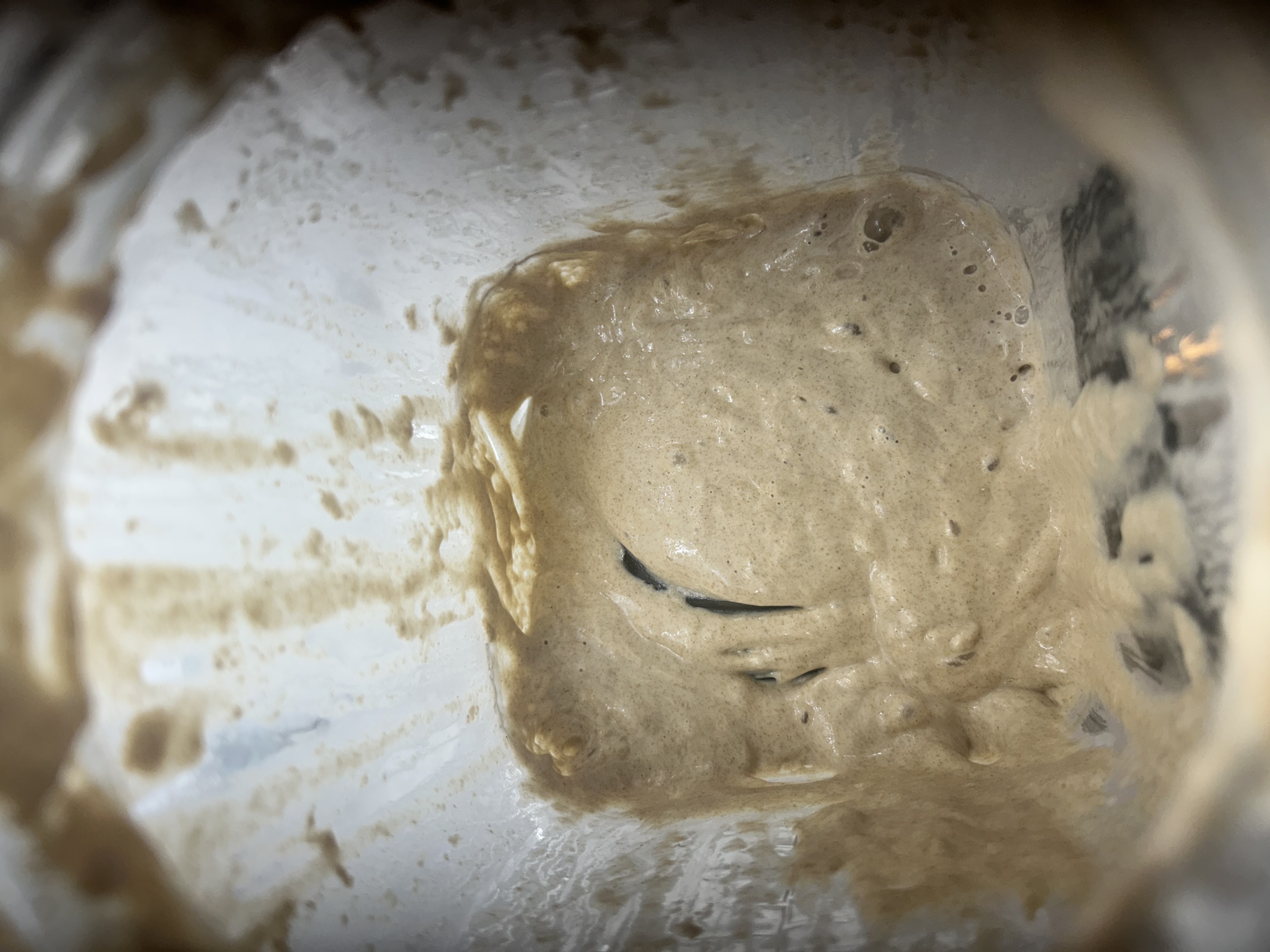 Before feeding Oct 29, 2025