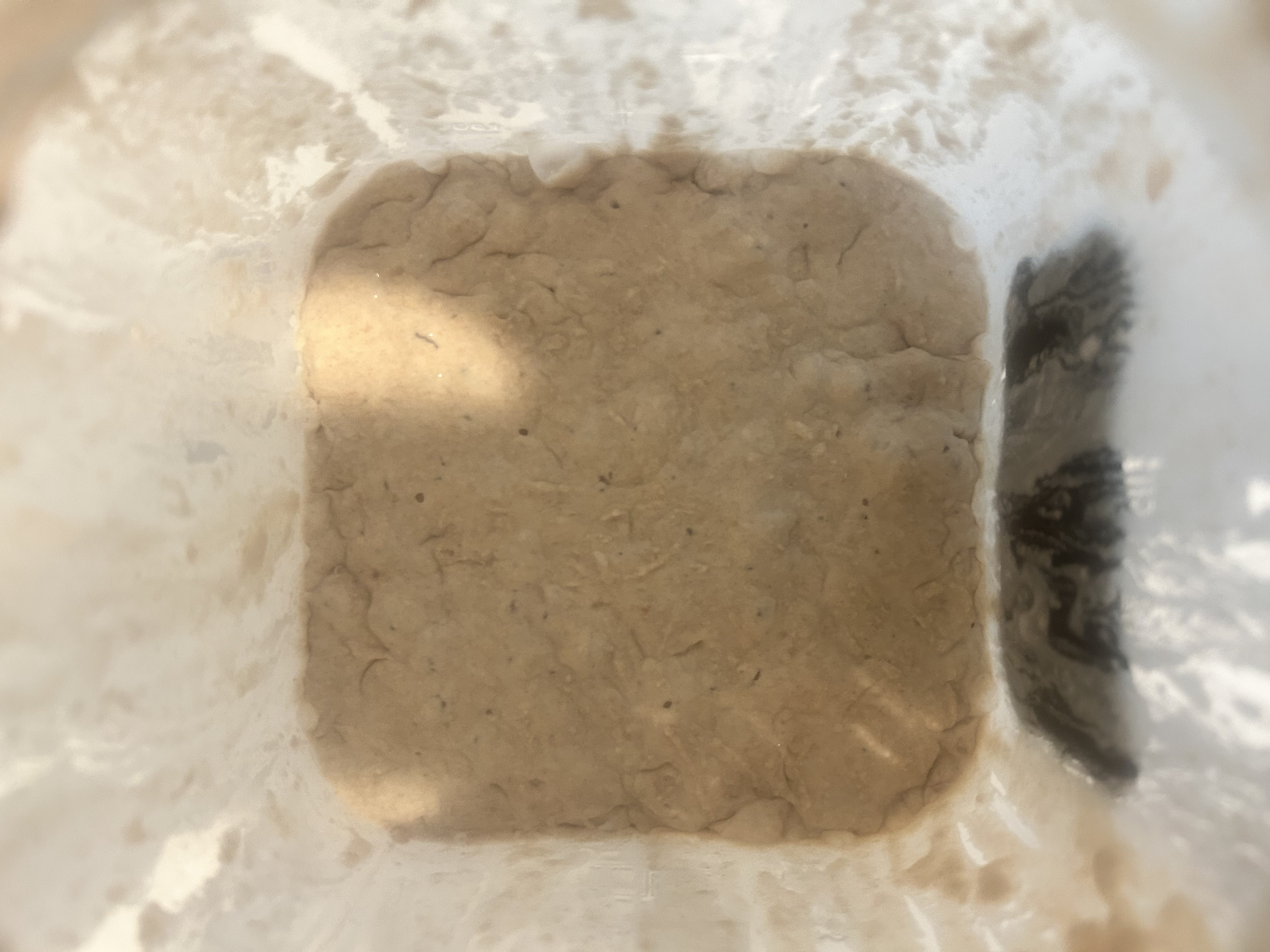 Before feeding Oct 31, 2025