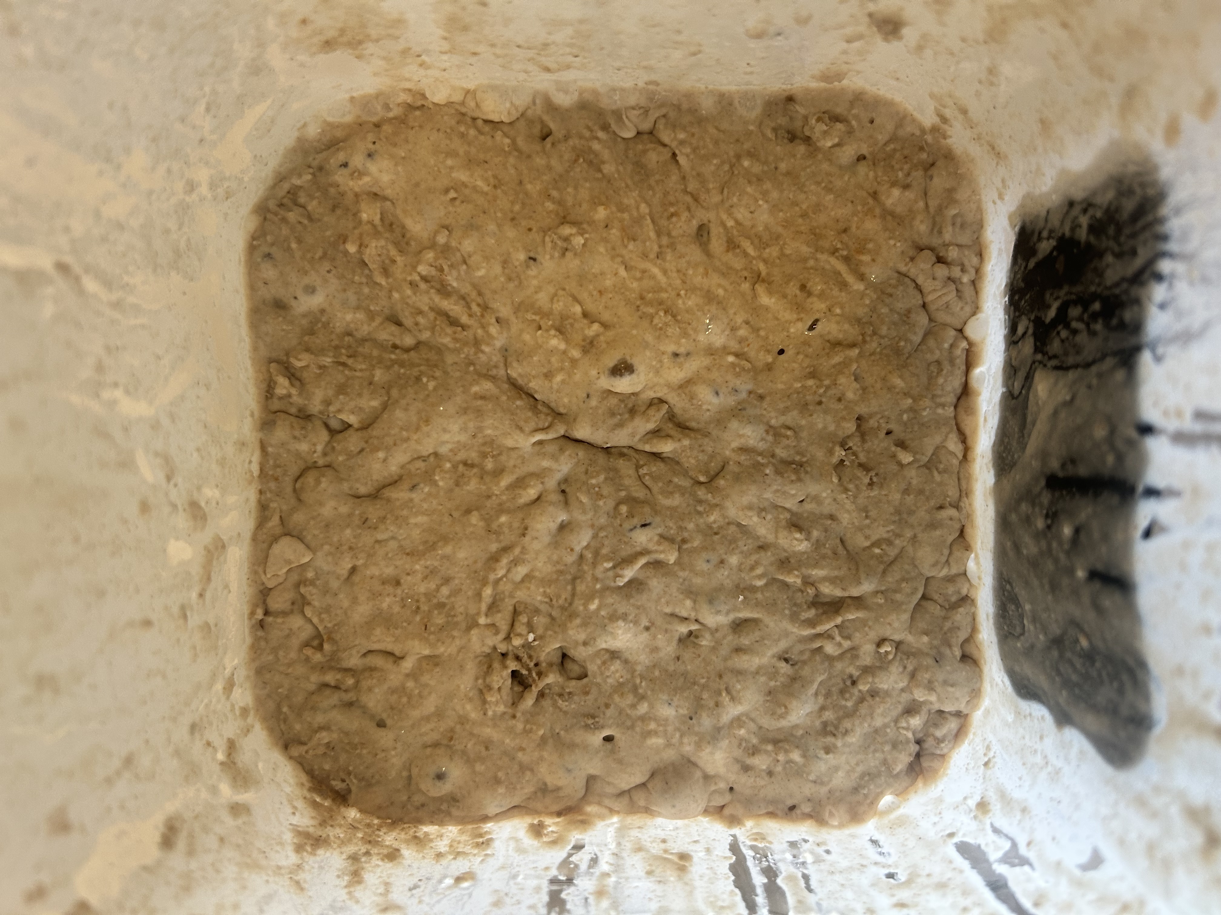 Before feeding Nov 01, 2025