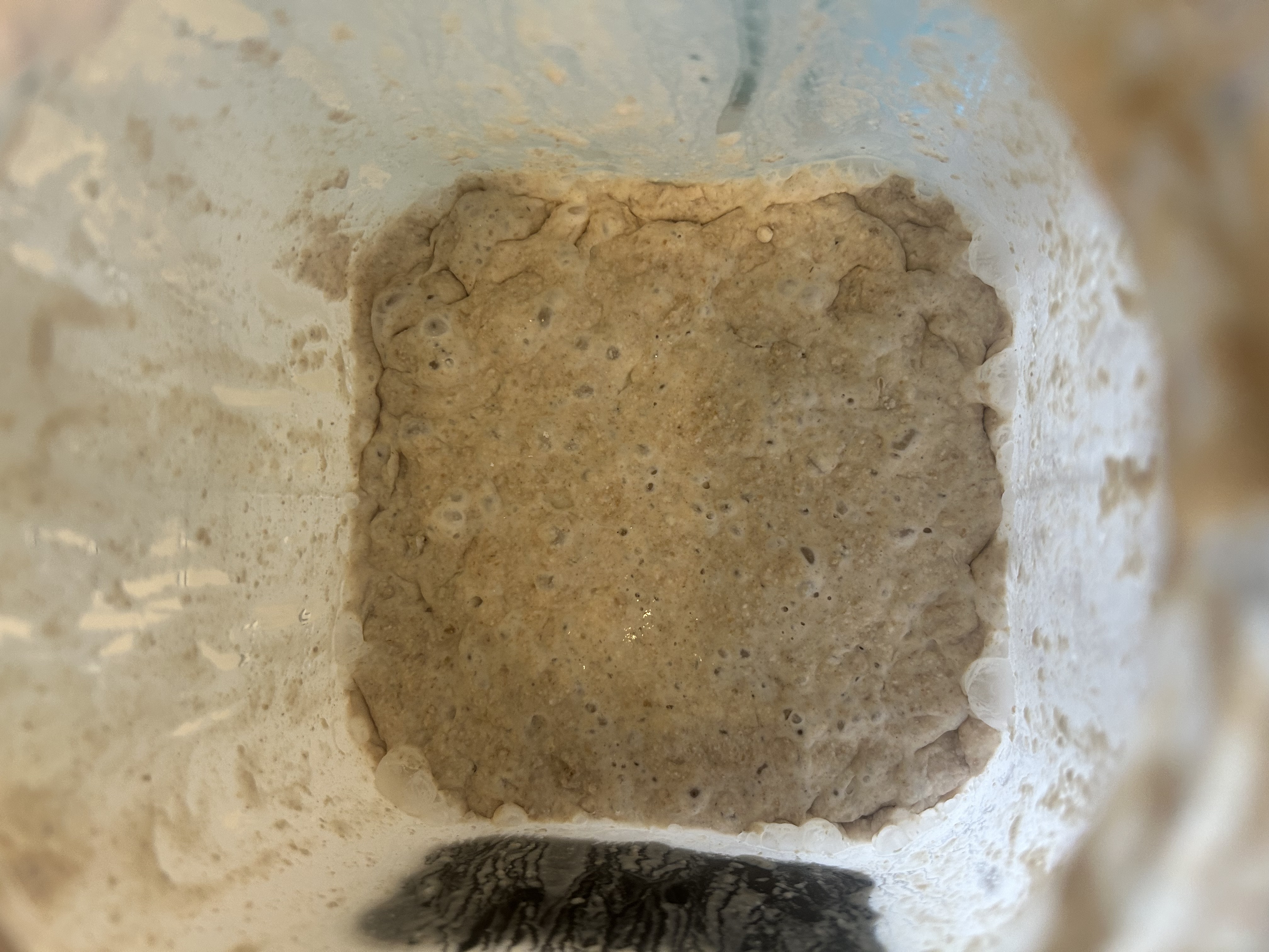 Before feeding Nov 02, 2025