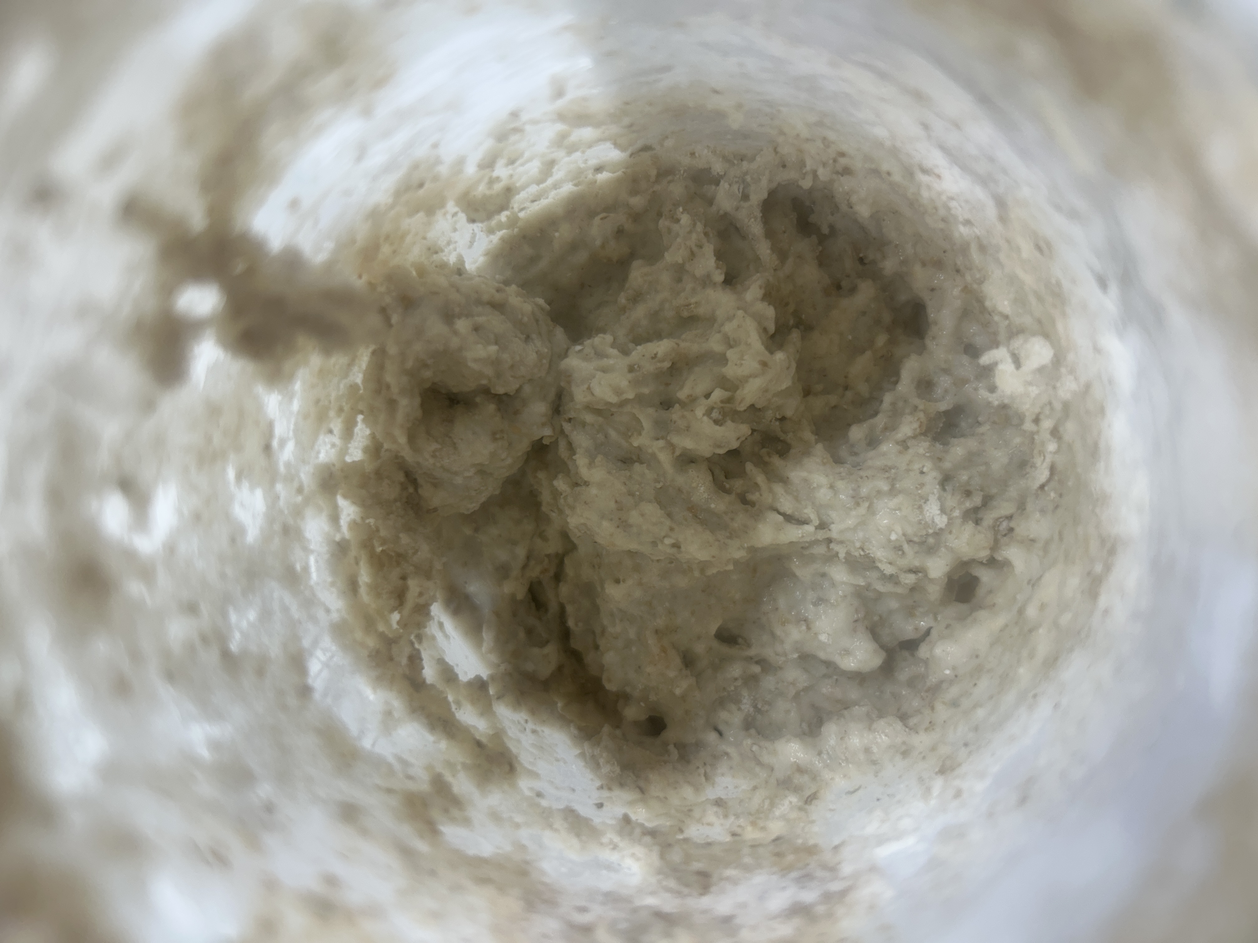 After feeding Jan 20, 2026