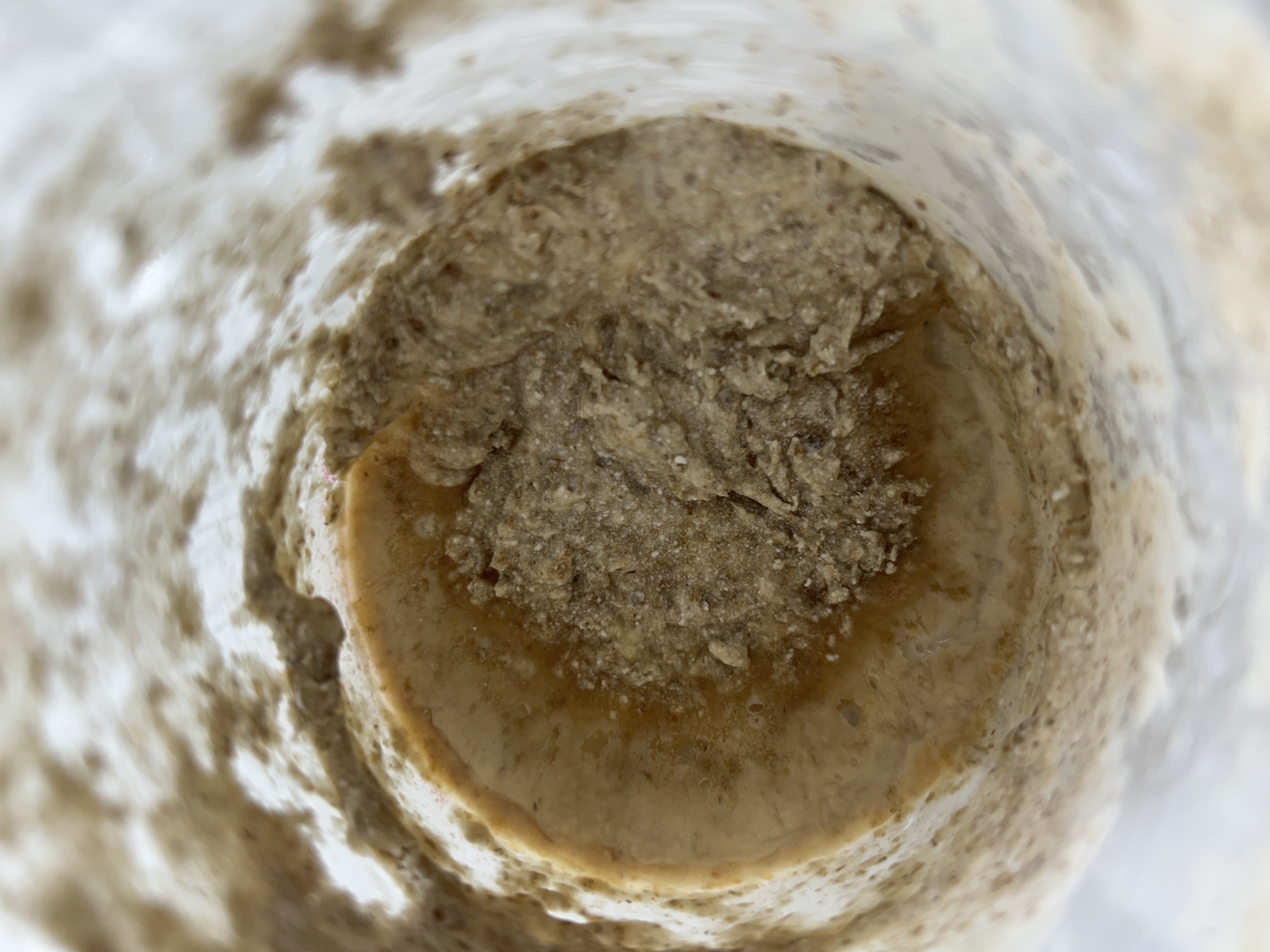 Before feeding Jan 24, 2026