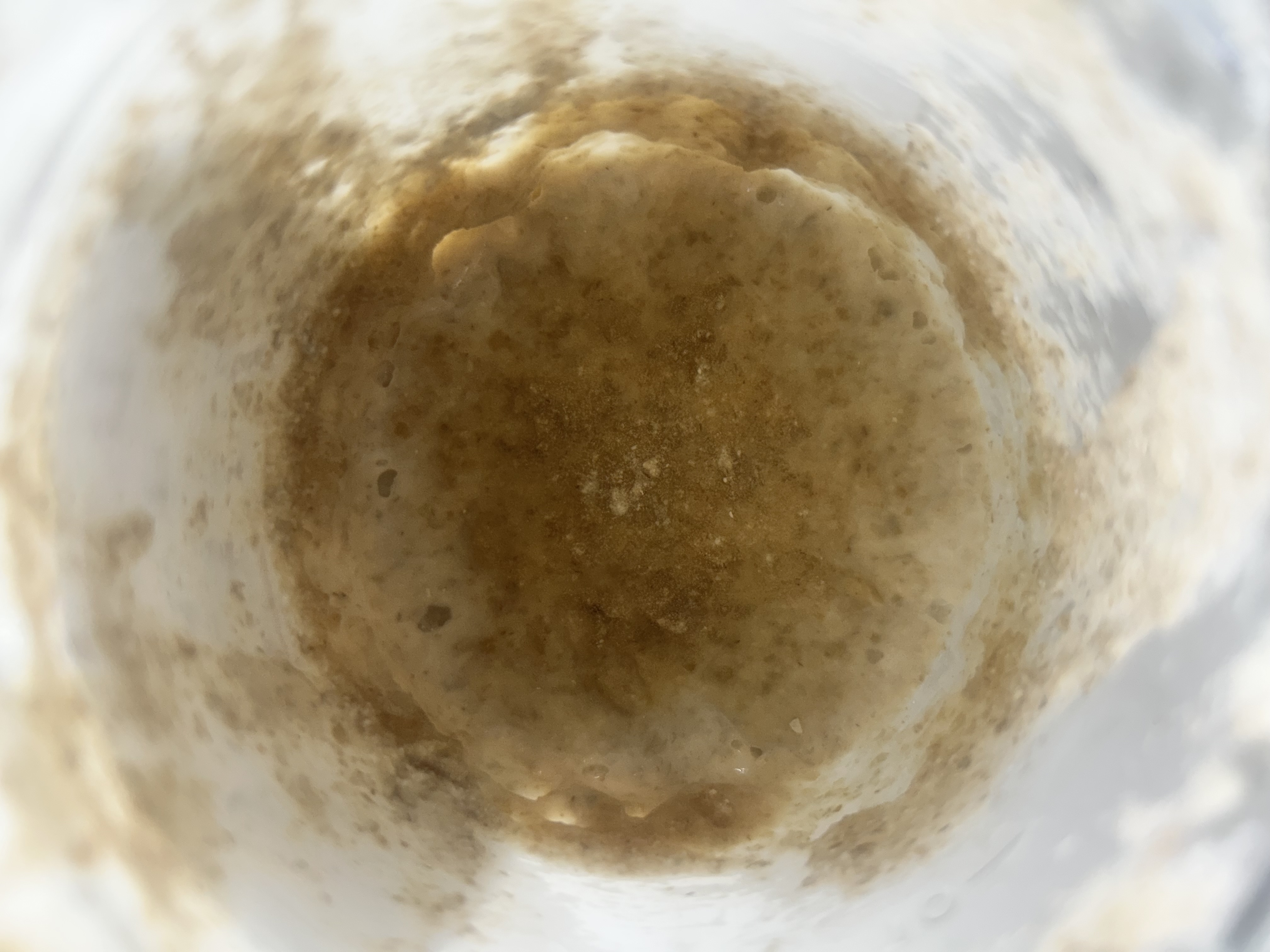 Before feeding Jan 31, 2026