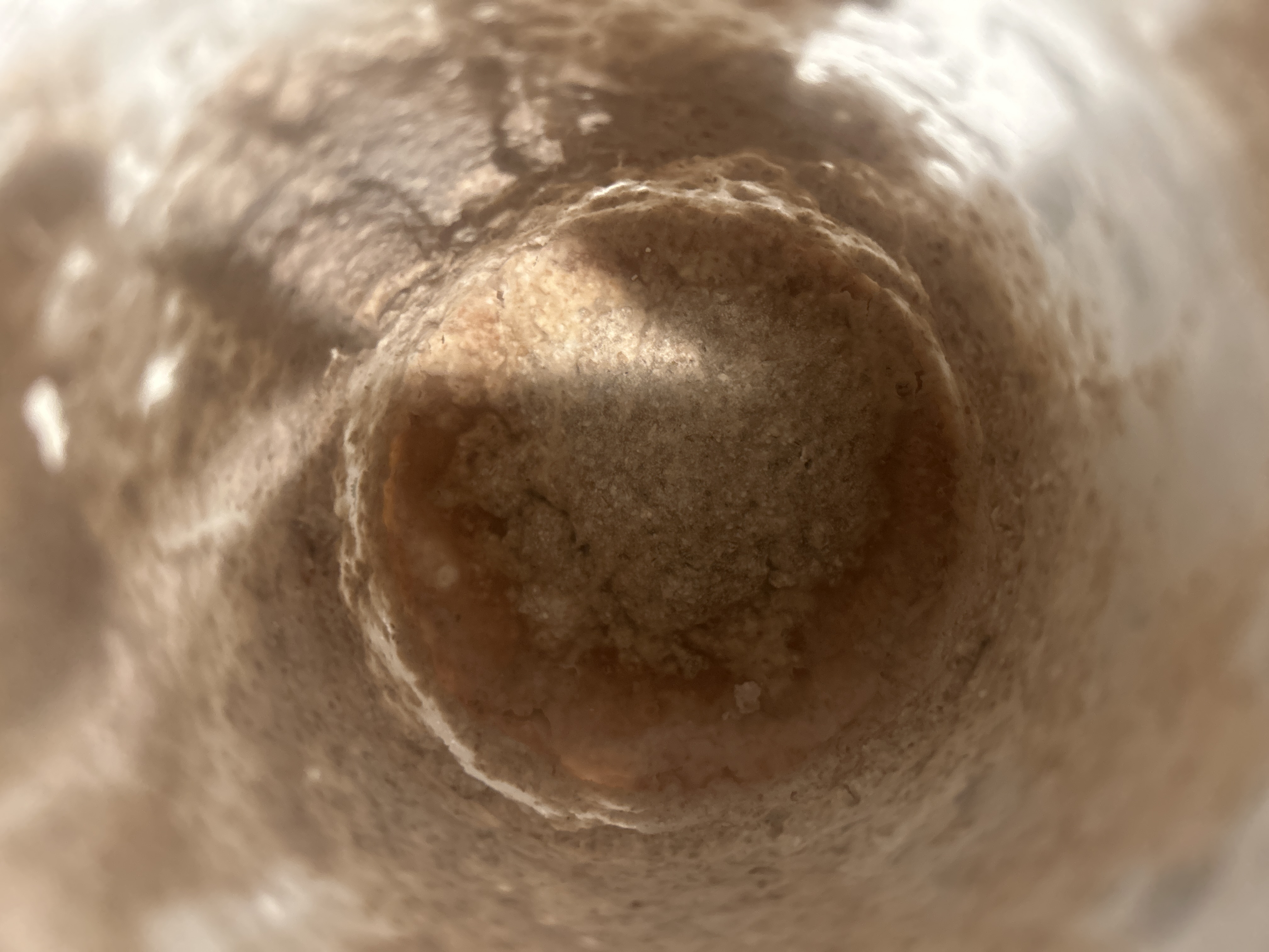 Before feeding Feb 05, 2026