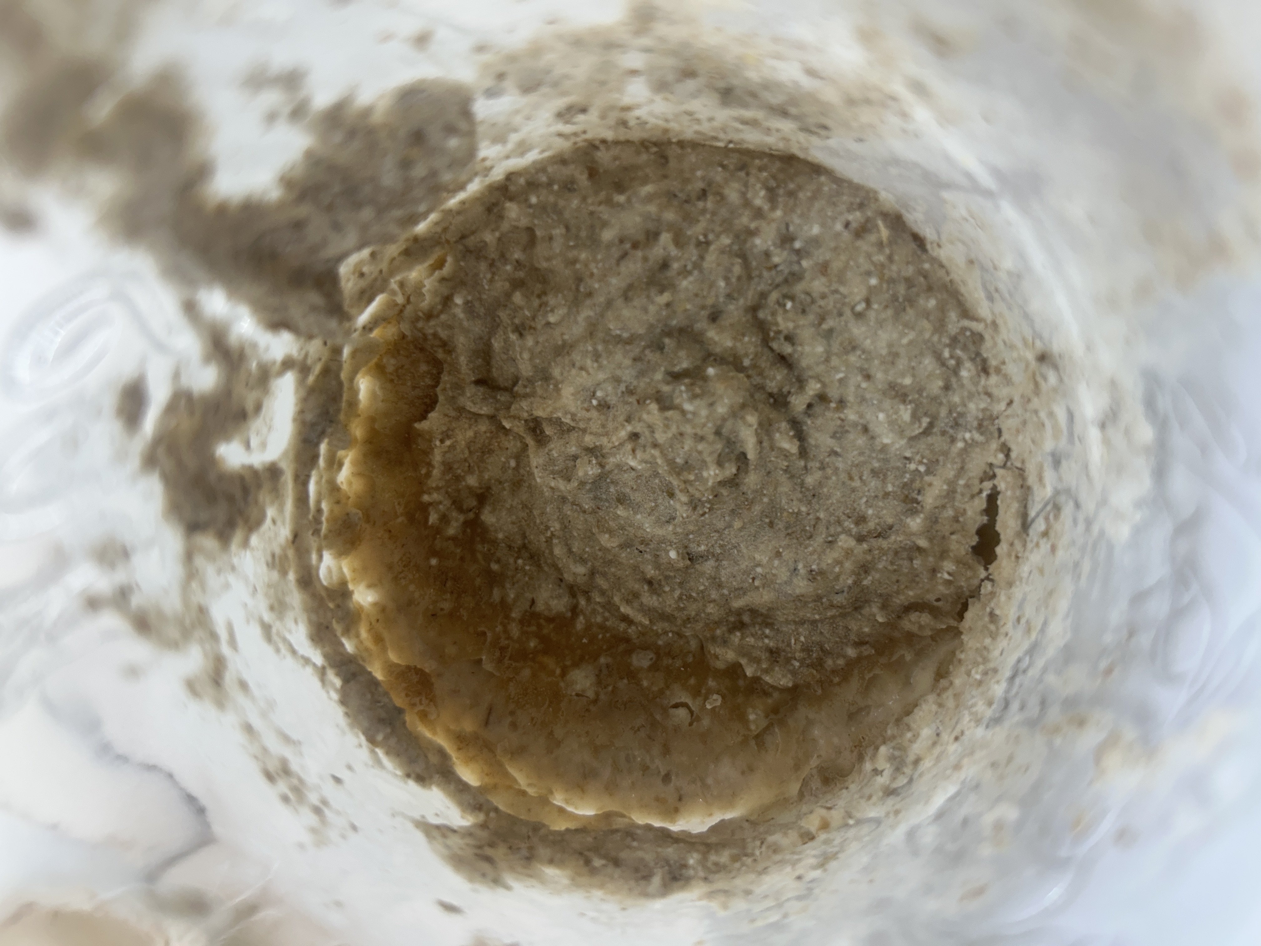 After feeding Feb 10, 2026