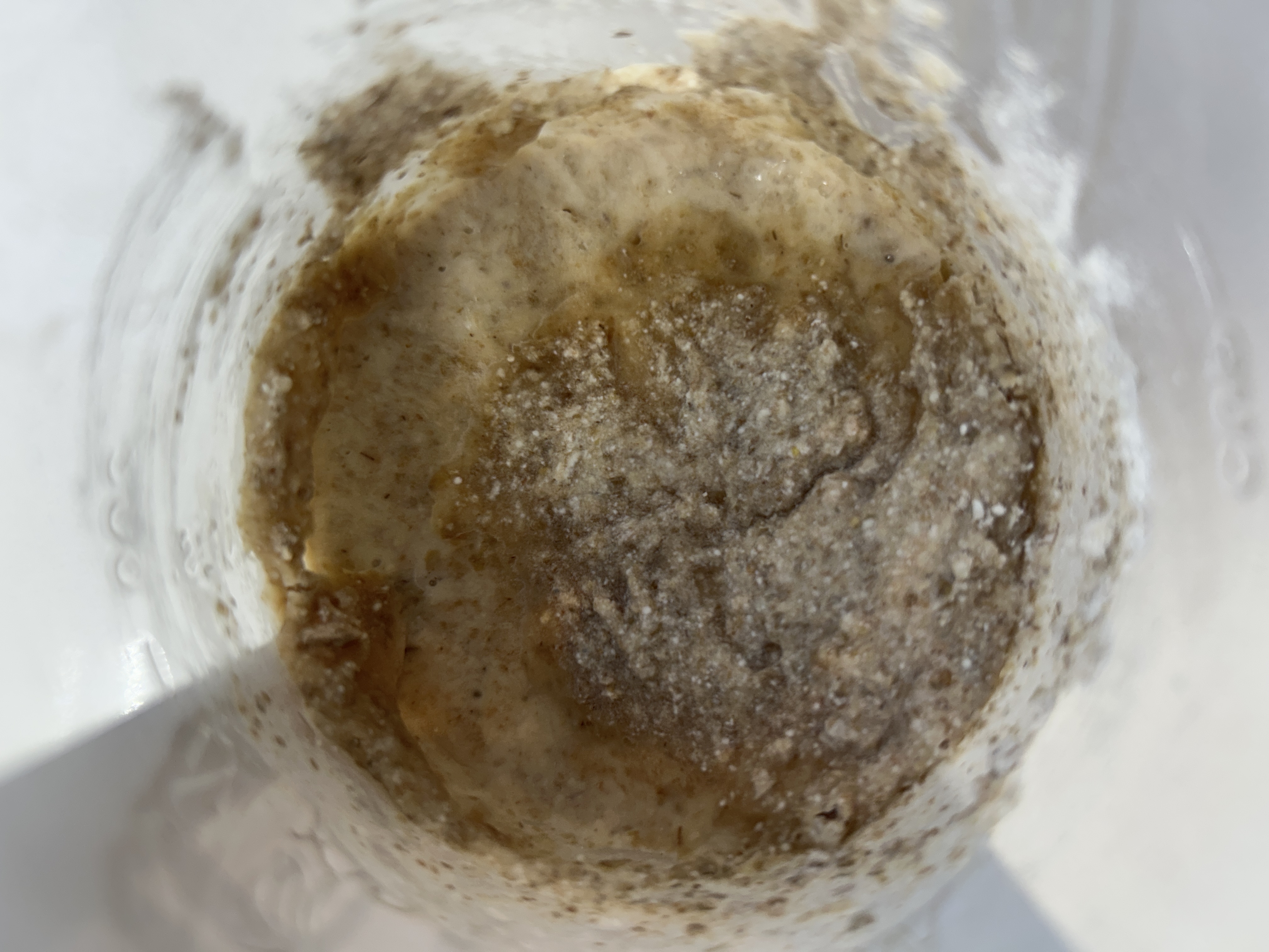 Before feeding Feb 13, 2026