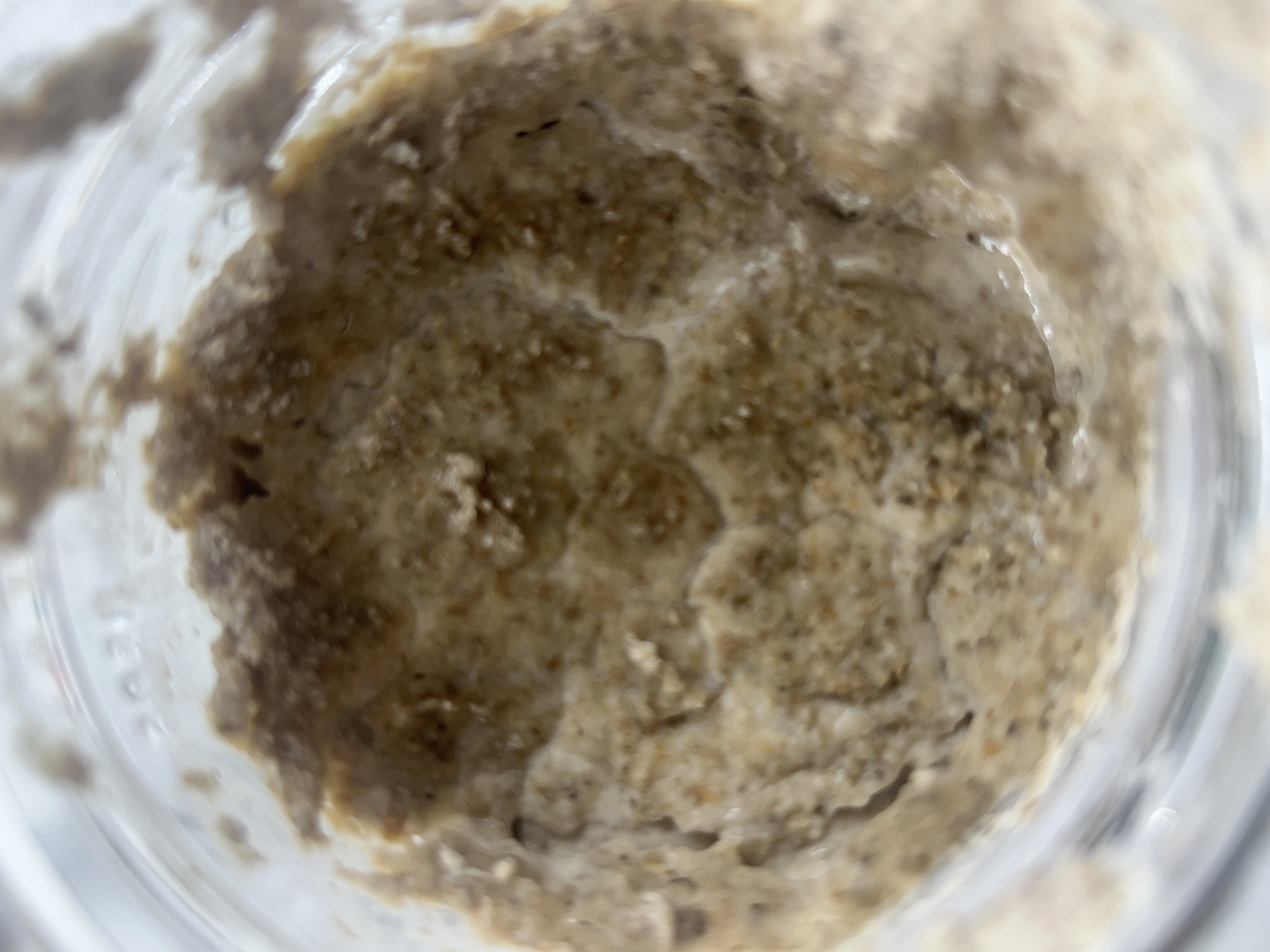 Sourdough feeding