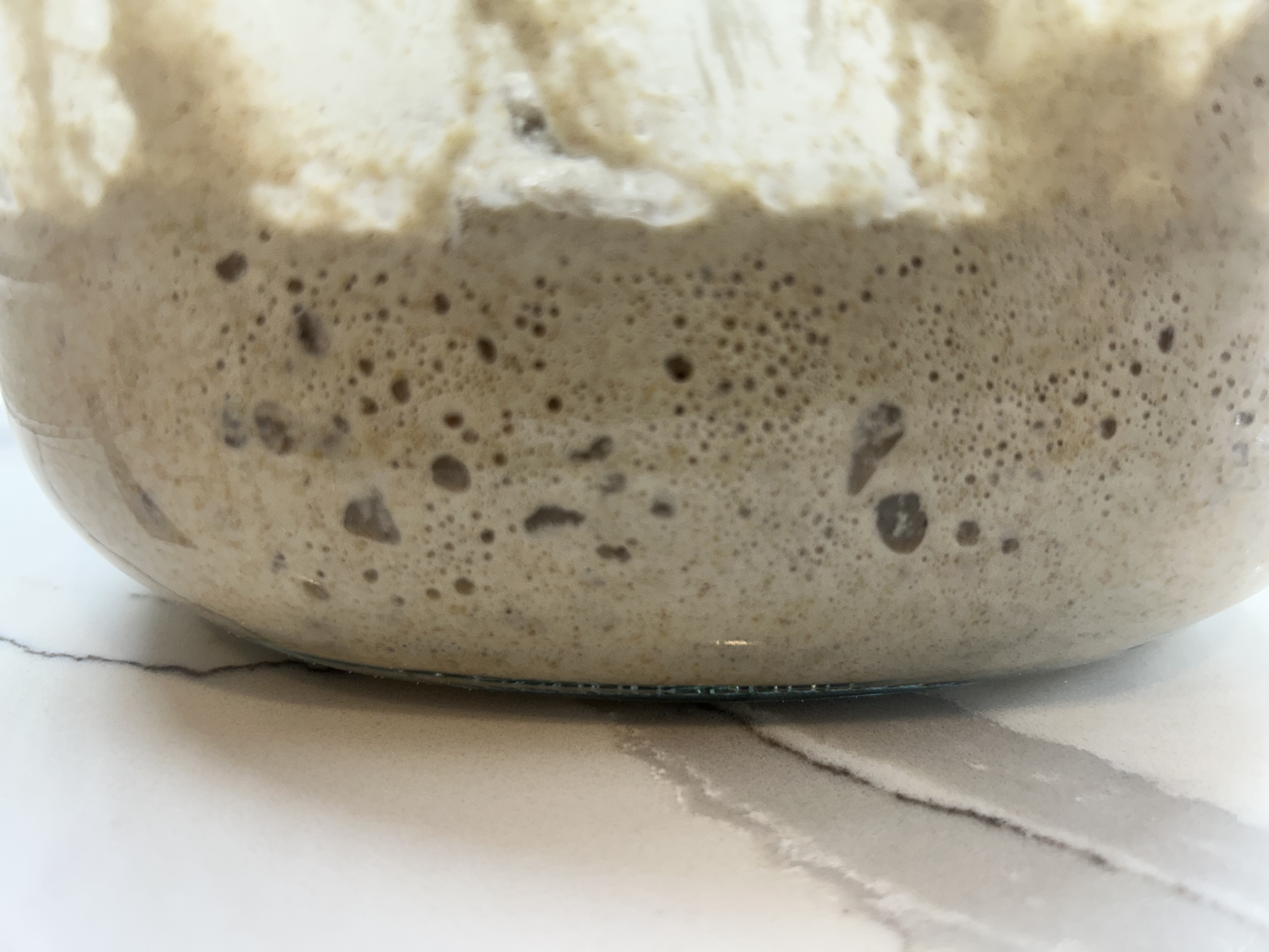 Snapshot Oct 25, 2025