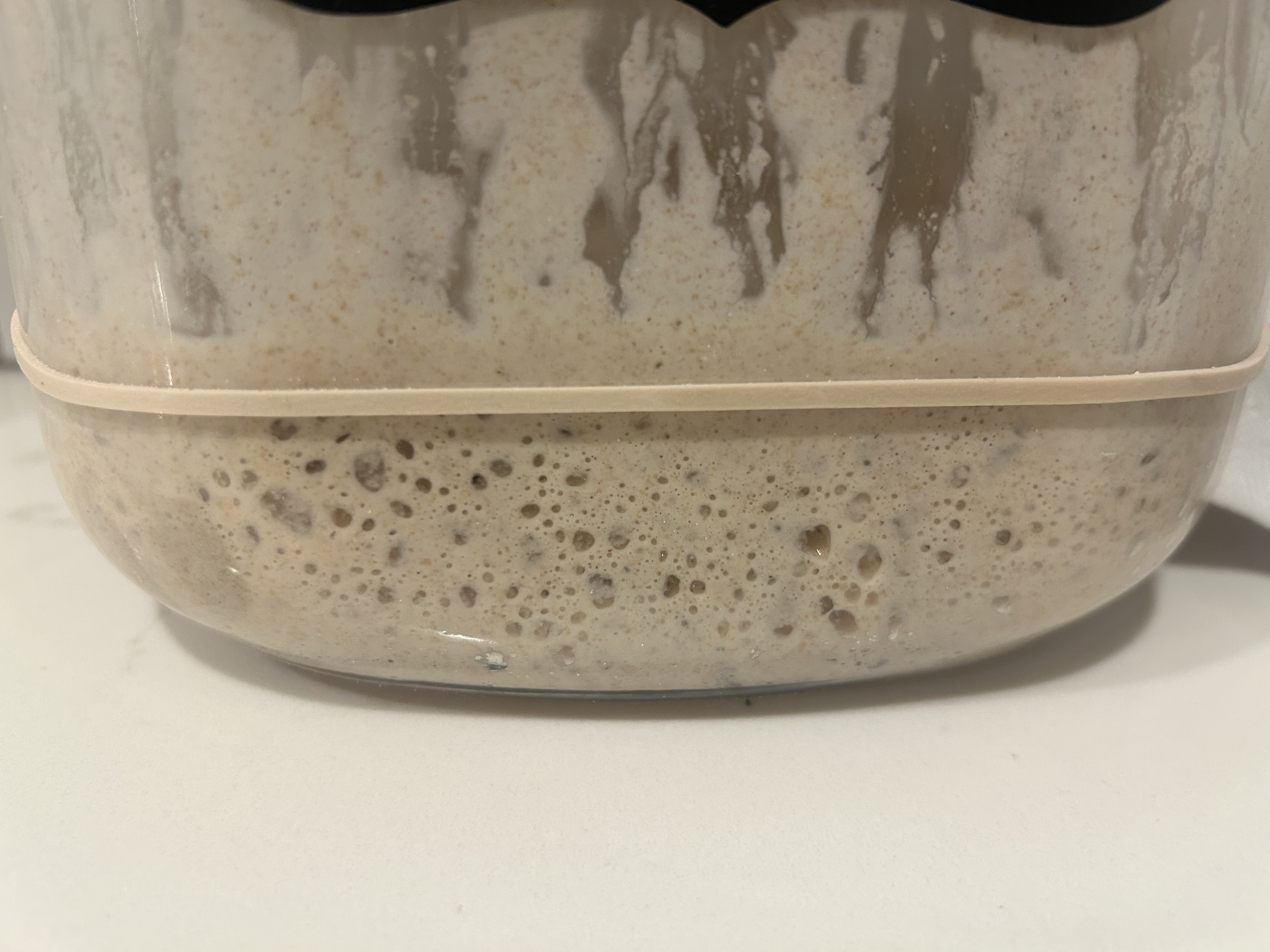 Snapshot Oct 28, 2025